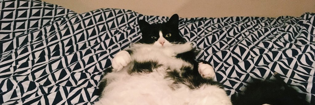 Alexander Froehlich banner