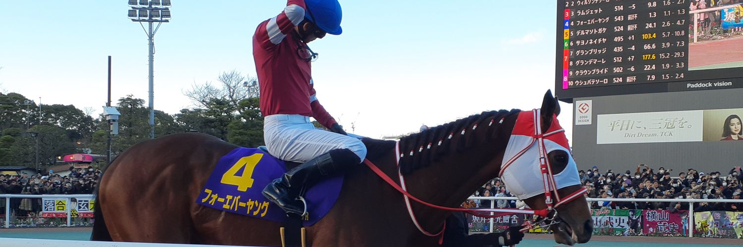 まーひら@江戸っ鯉党🎏 banner