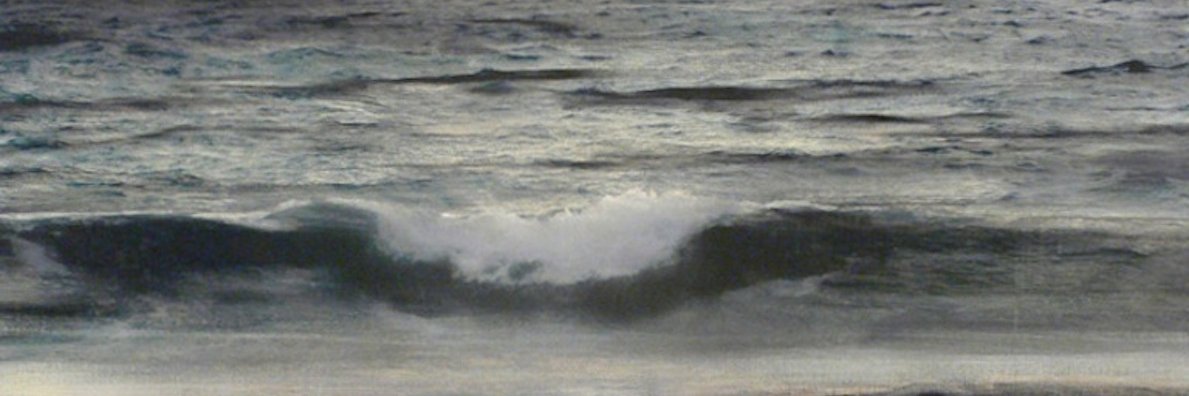 cacciolagallery's profile banner image