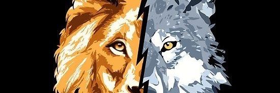 DarwinDw264's profile banner image
