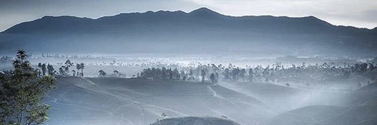 supit_nr's profile banner image