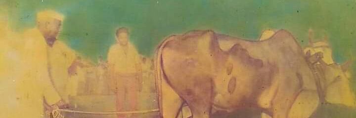 Ashu Tomar banner