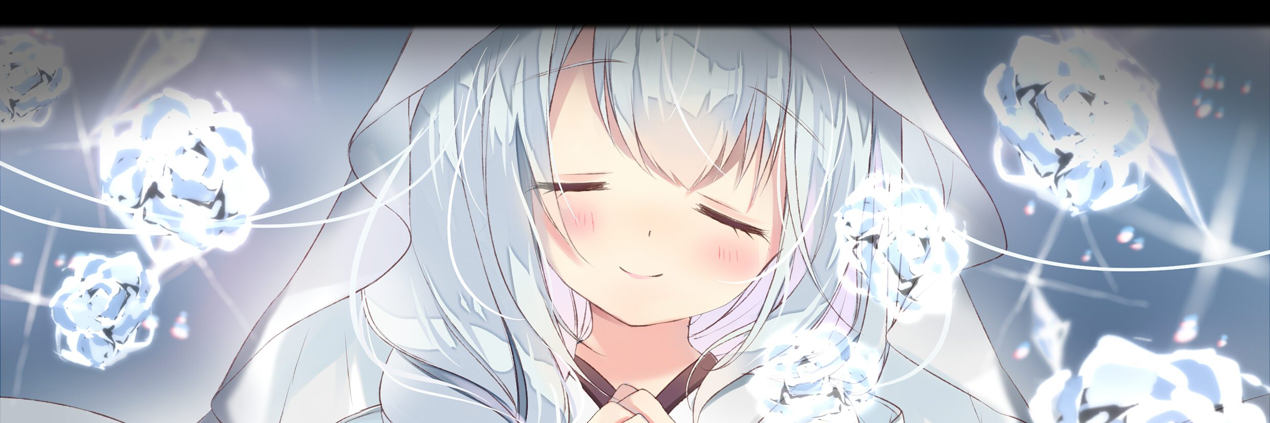 Linuzuki's profile banner image