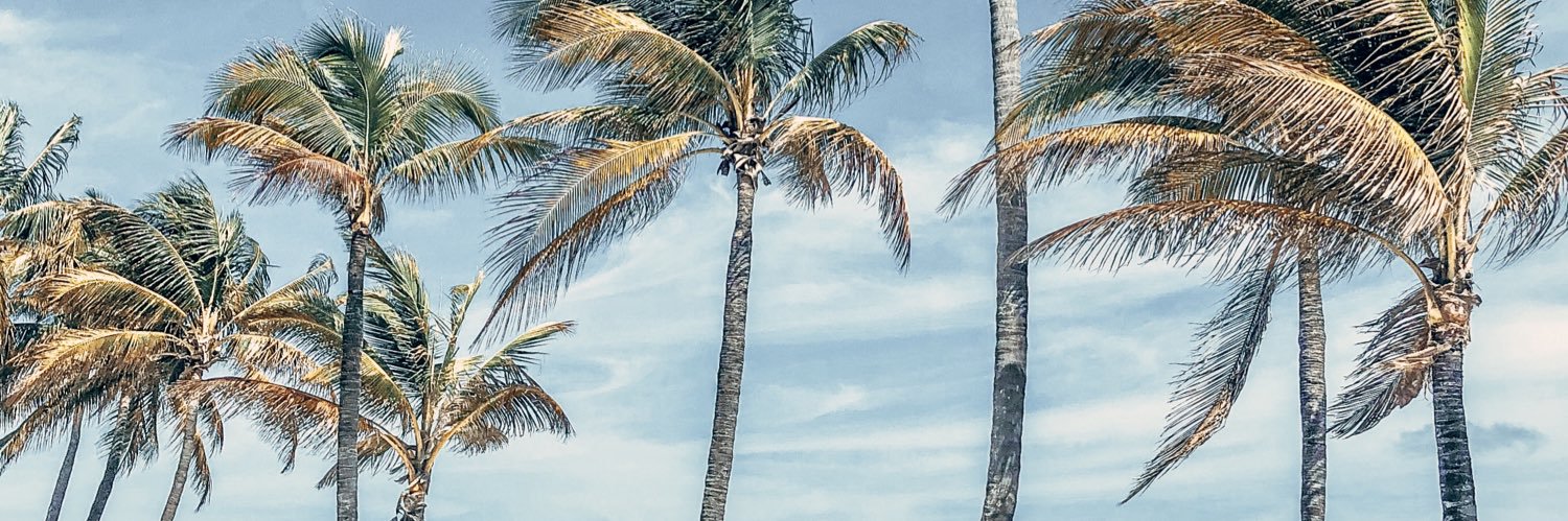 KaylaTerbecki's profile banner image