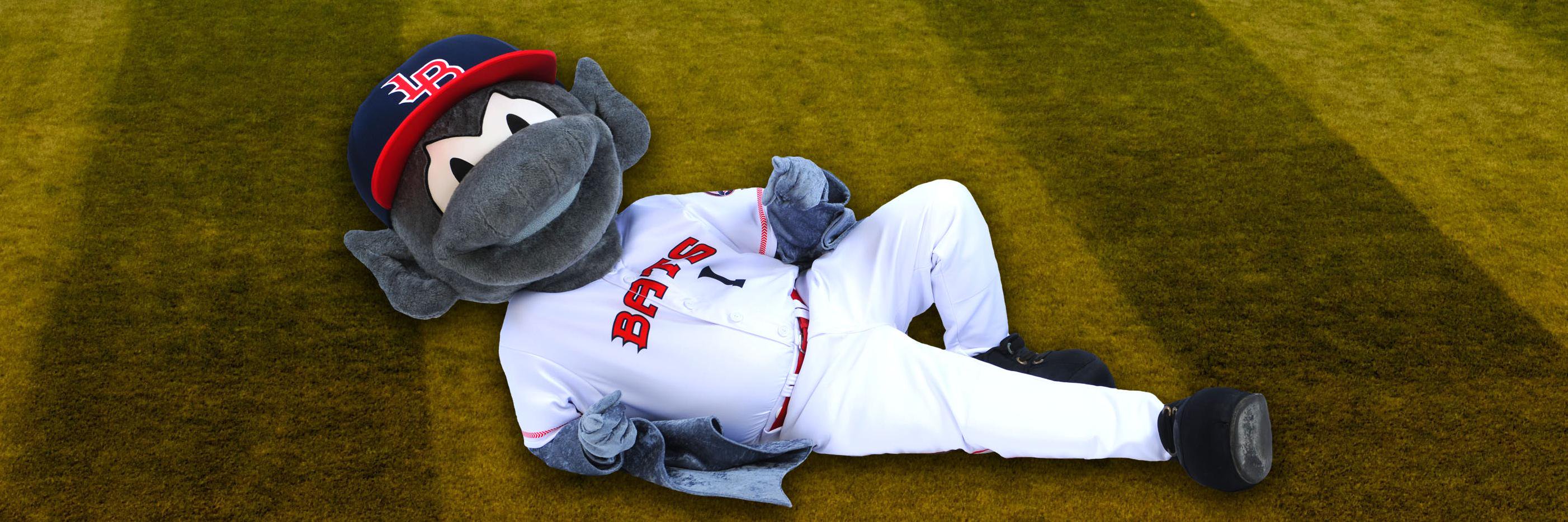 BuddyBat's profile banner image