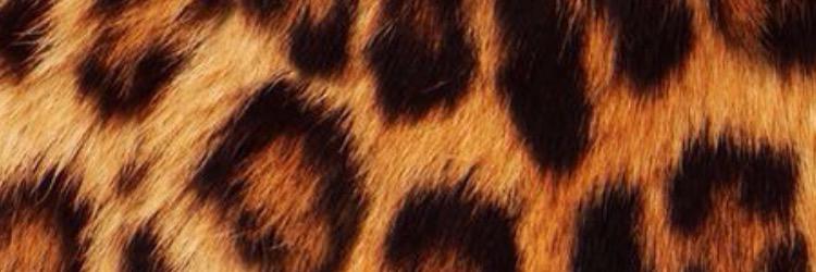Gakcamm's profile banner image
