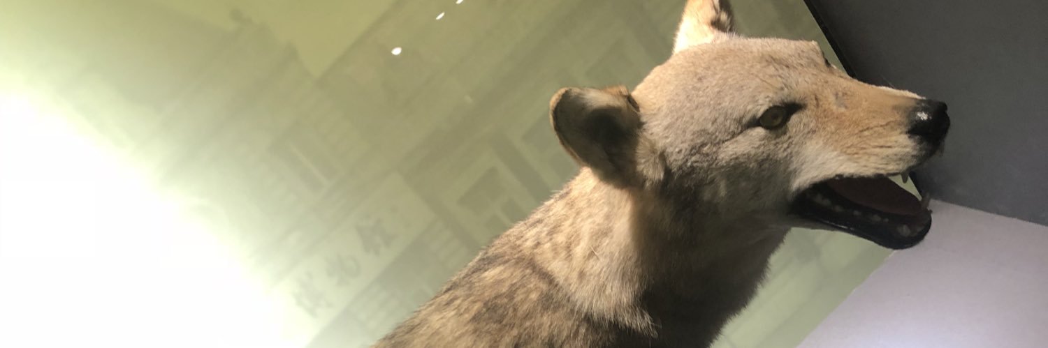 forevermnlav's profile banner image