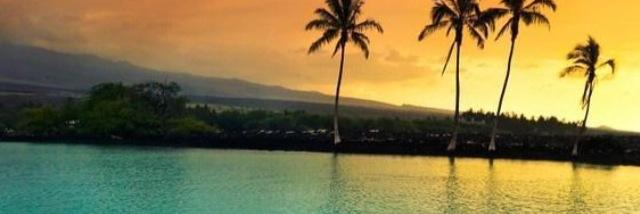 CandidMind_'s profile banner image