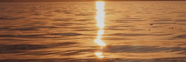 RickMahoney2's profile banner image