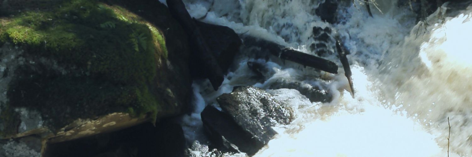 AriHaaranen's profile banner image