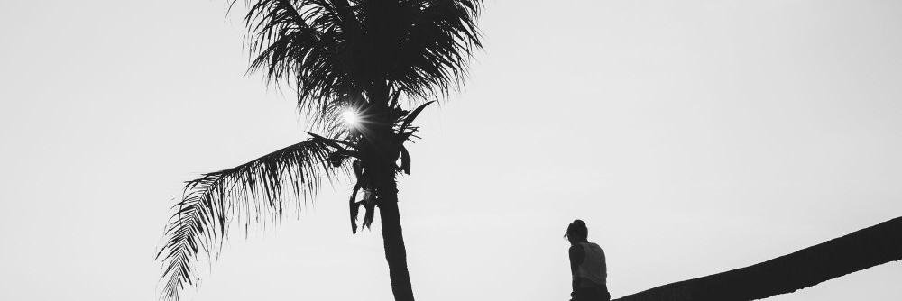 marttikollari's profile banner image