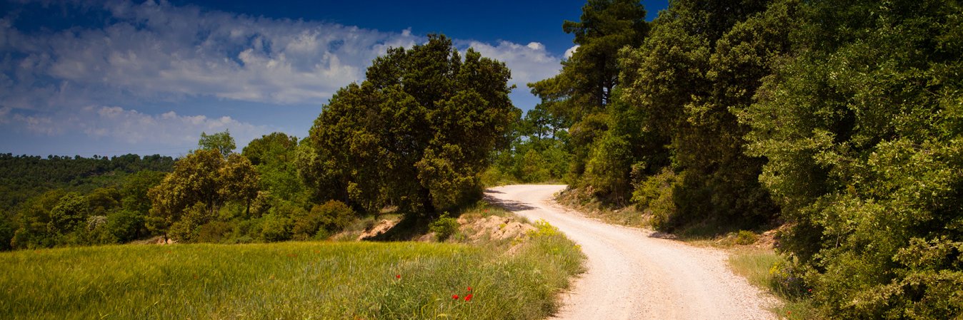 Josep Maria Casas banner