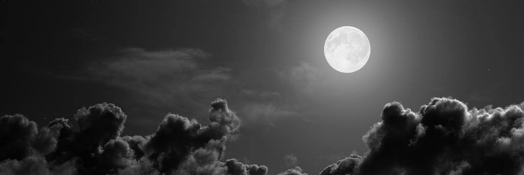 El clandestino 🇪🇸 🇺🇦 banner