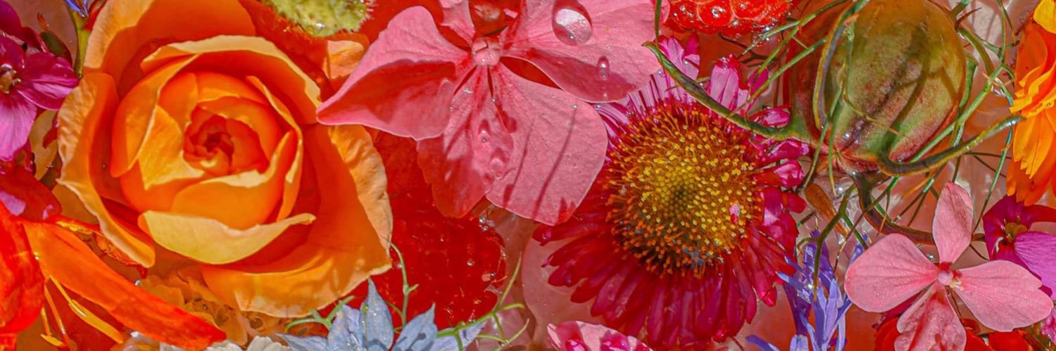 alindy_'s profile banner image