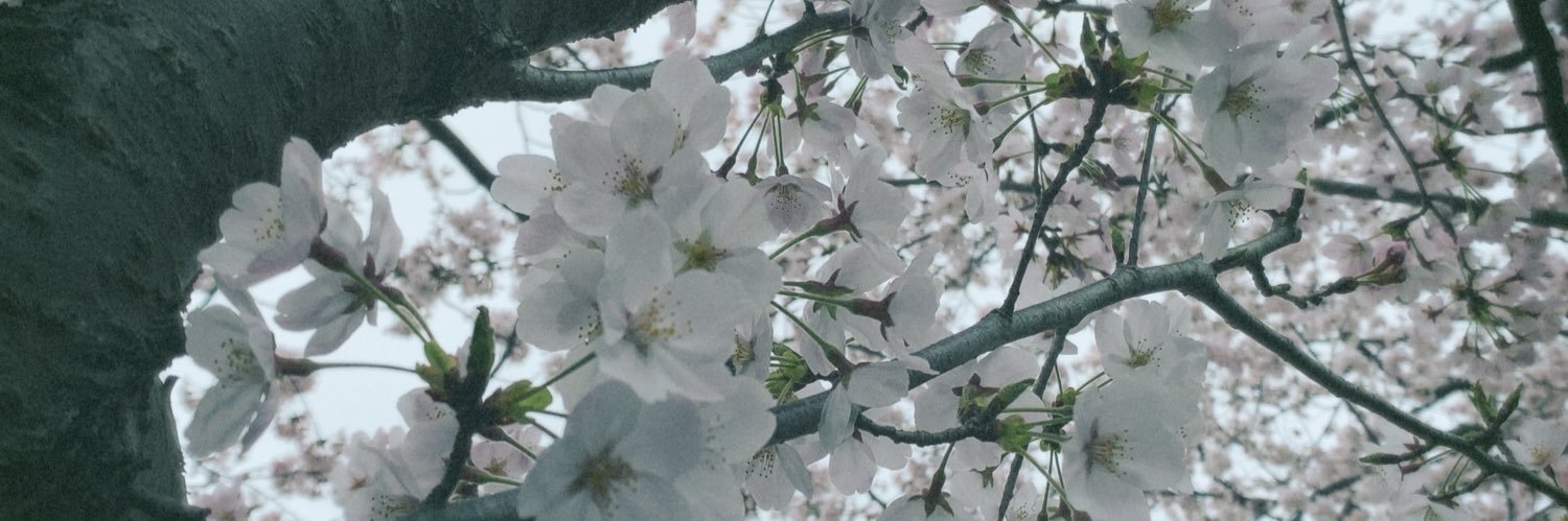 411k_yu617's profile banner image