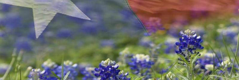 mollybee81's profile banner image