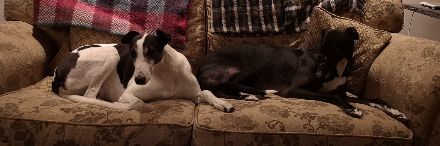 Sean Sure It's All Good Harrison banner