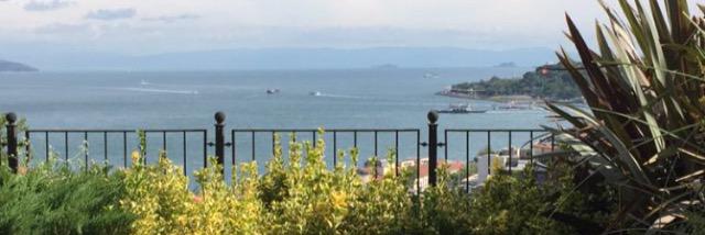 Haifa_alamro's profile banner image