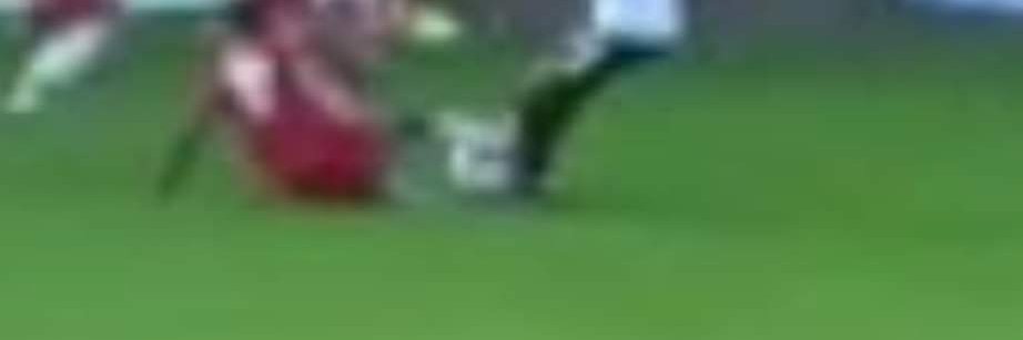 WingsfanChris. banner