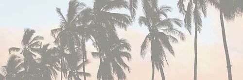 jennerftommo's profile banner image