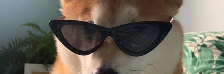 ob_tom_kenobi's profile banner image