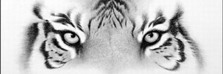 abunasser45's profile banner image
