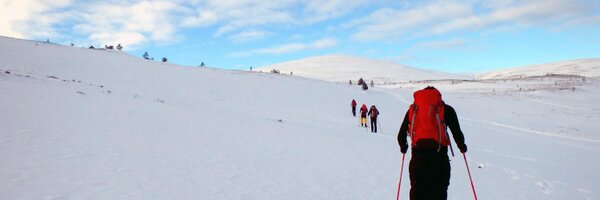 hsxantarctica Profile Banner