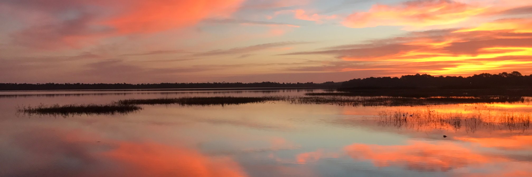 AlexandraPageHeyward banner