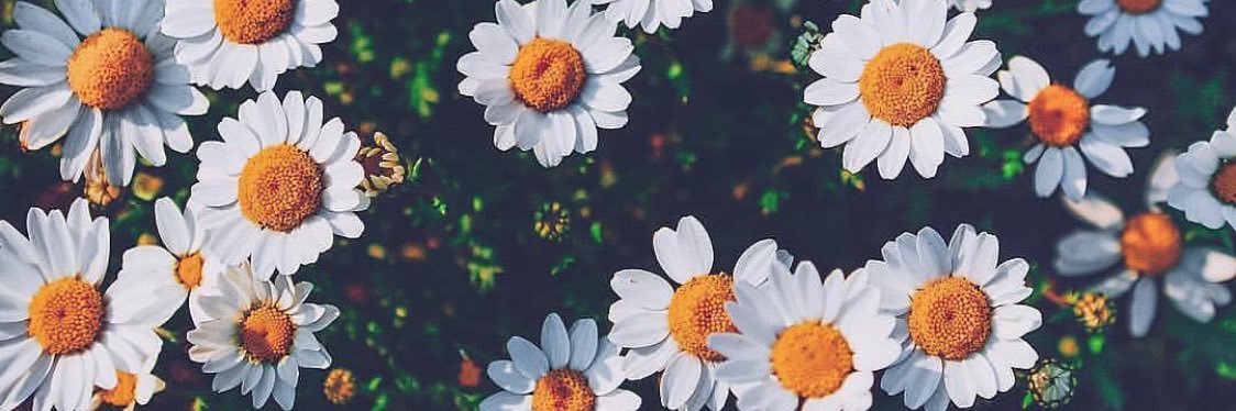 DATEsun72's profile banner image
