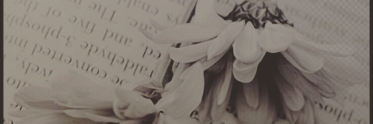 soomhmoahd's profile banner image