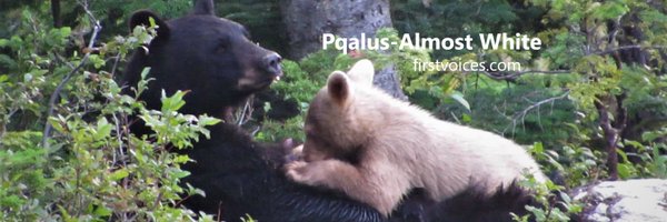 KathyJenkins6 Profile Banner