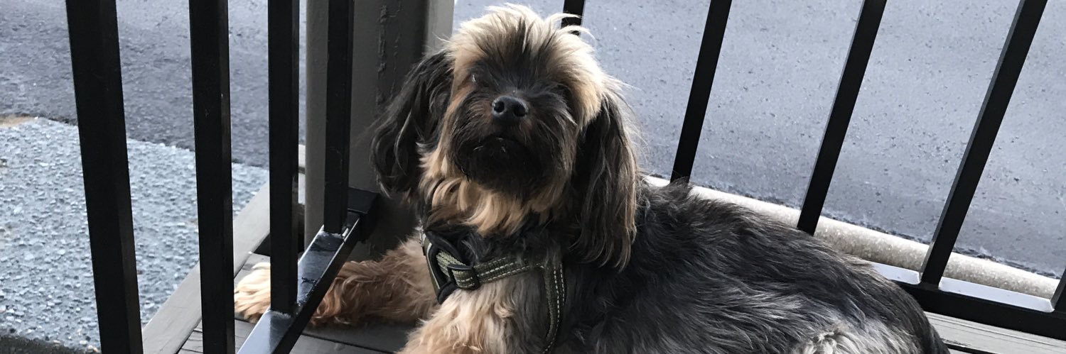 DouglasStory's profile banner image