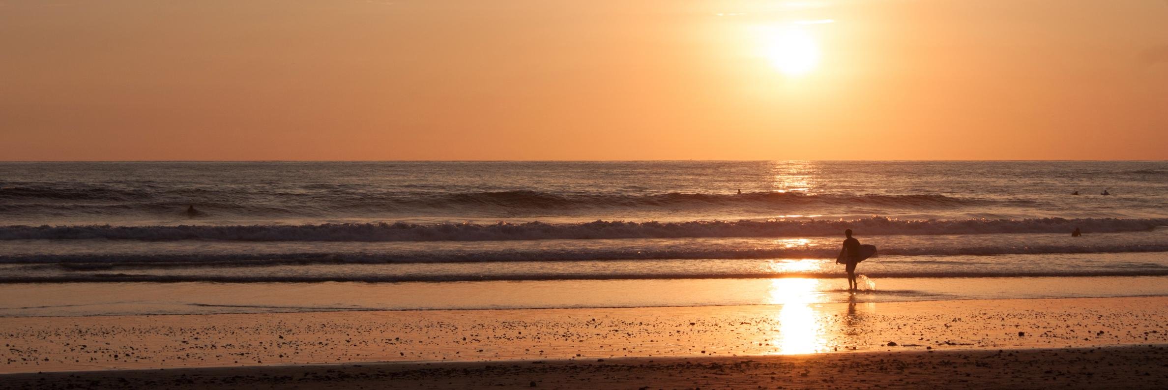 Christian Sander banner