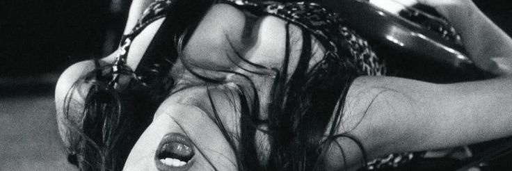 sophia equipe jurídica olivia rodrigo banner