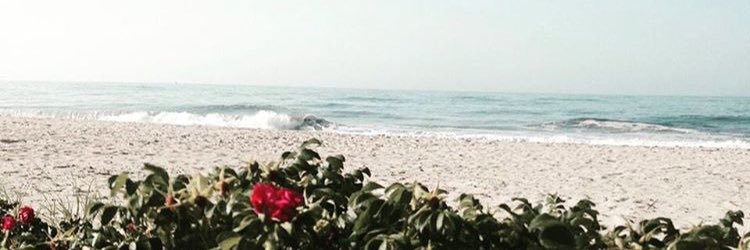 LFrye83's profile banner image