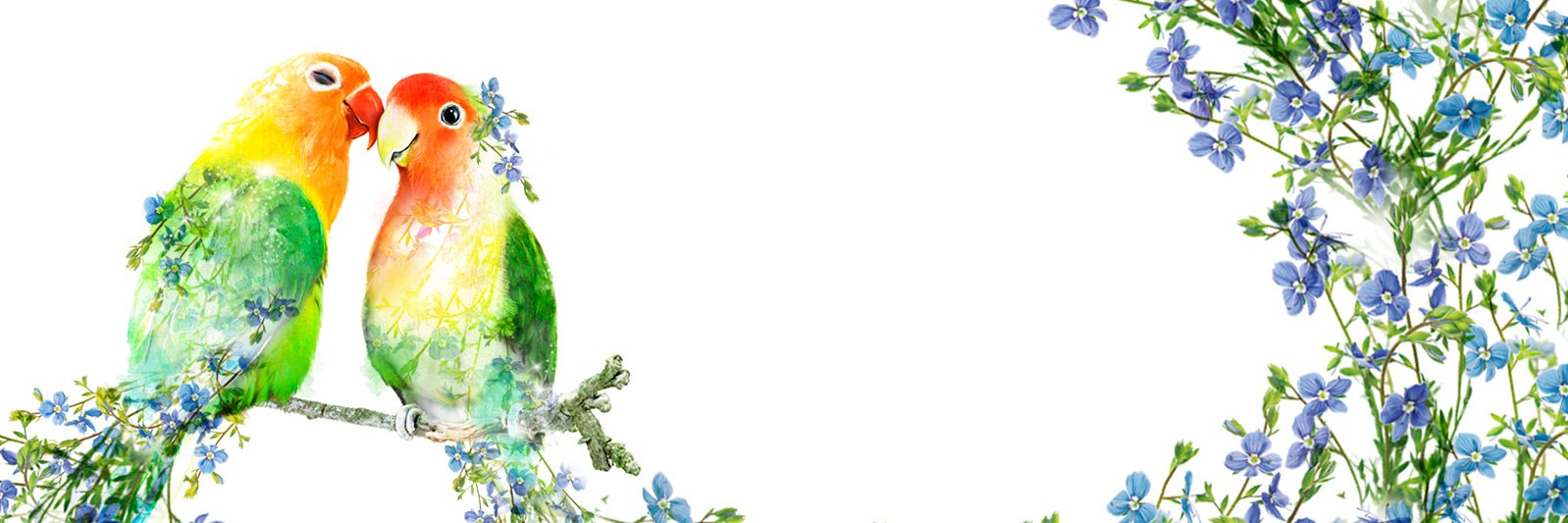 DesignLola's profile banner image