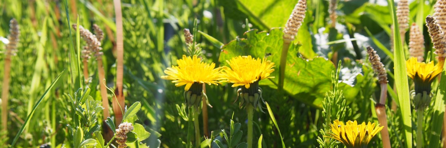 相田未知瑠 banner