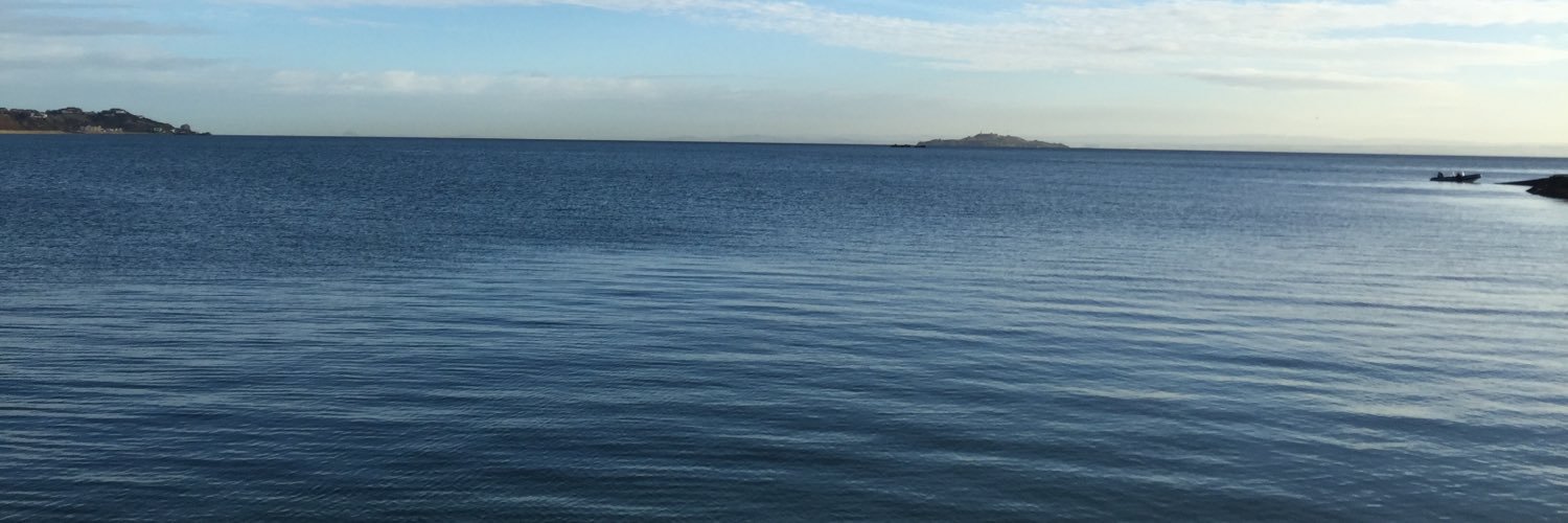 monicaturoni's profile banner image