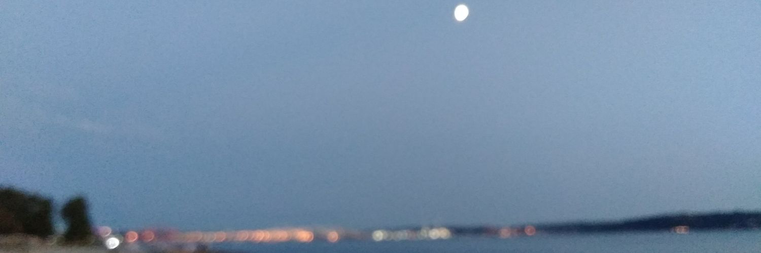 rrposey's profile banner image