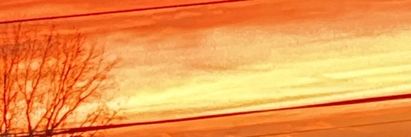 sp812 Profile Banner