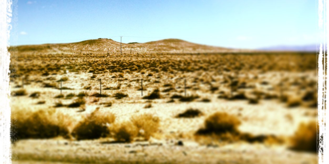 James Ventham banner