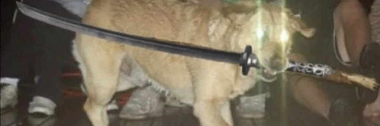 ItsItsFerrni🔜Nowhere banner