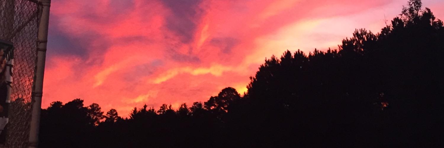 Felisha_Nichole's profile banner image