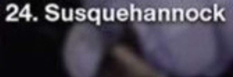 suskyfansection's profile banner image