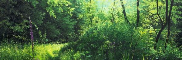 jerongi's profile banner image