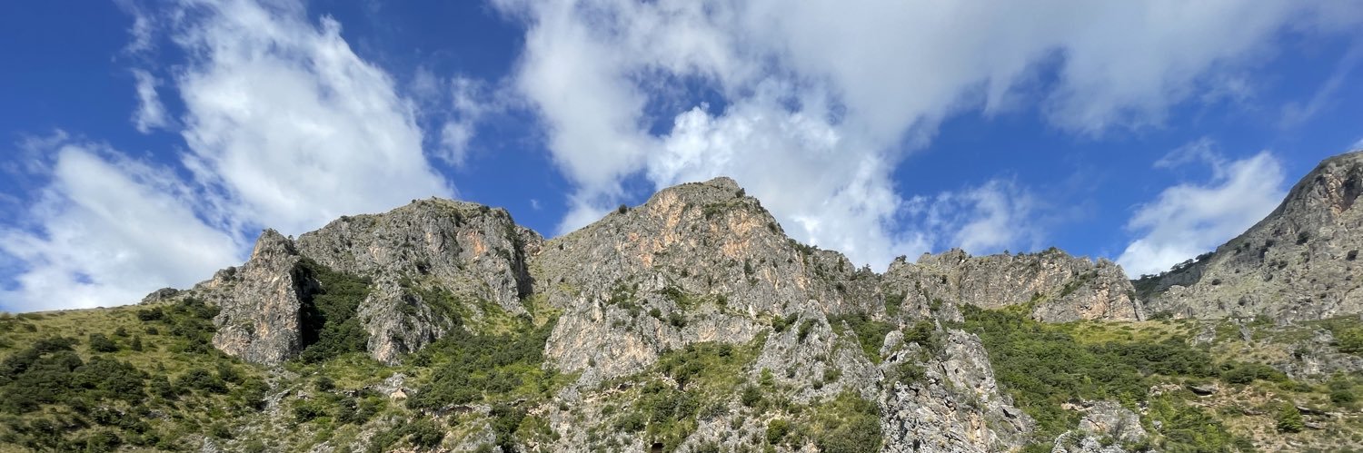 diennevierre's profile banner image