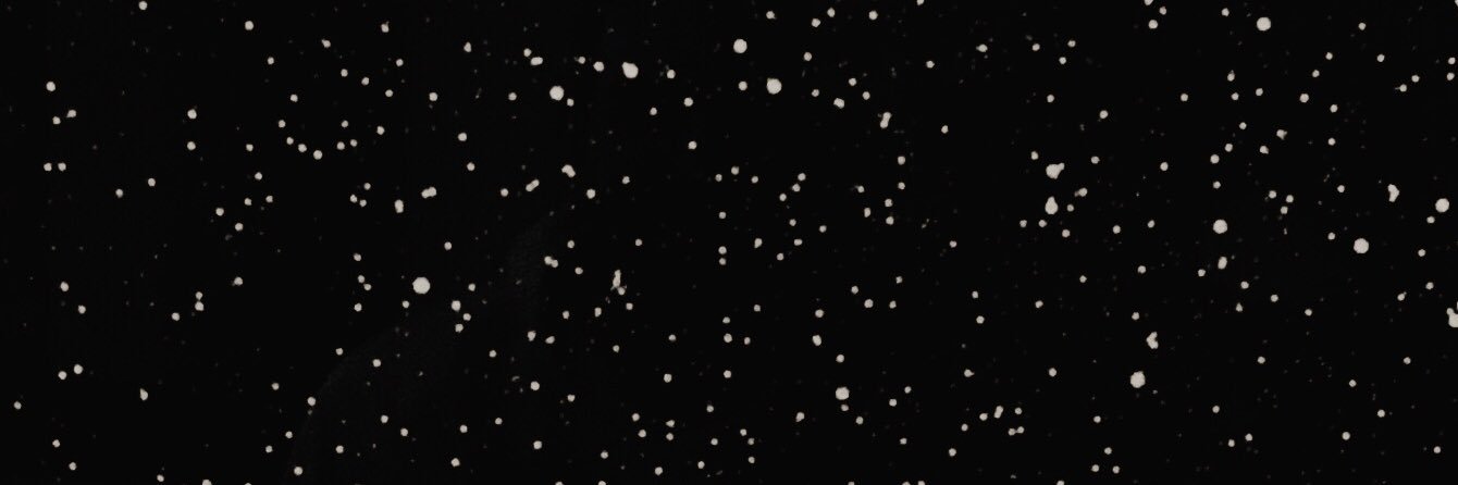 LexieHough's profile banner image