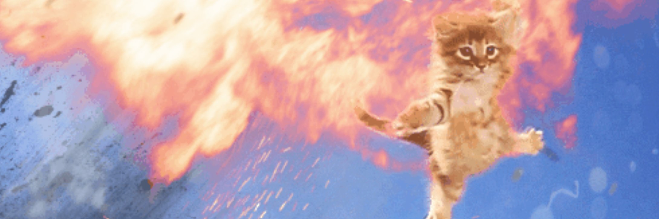 giffy_kitty's profile banner image