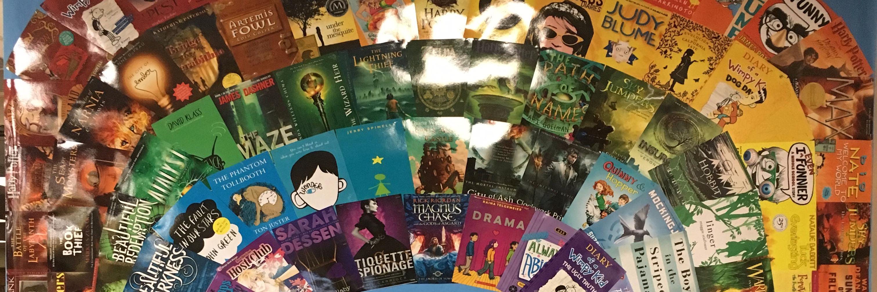 WhiteMSLibrary's profile banner image