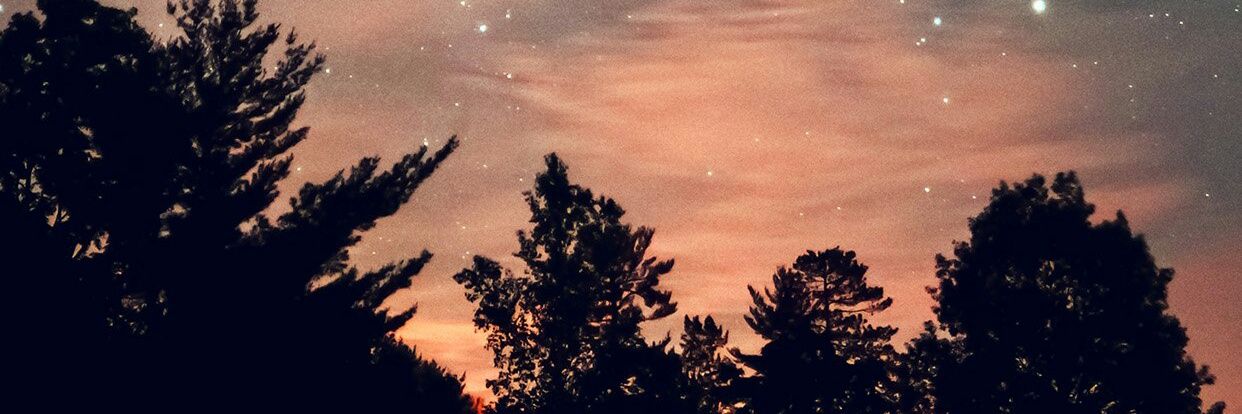 dannoo2912's profile banner image